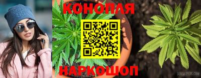 mdpv Малоярославец